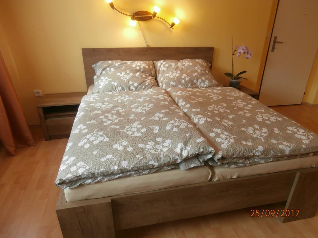 Apartman Aya ยาโนฟ นาด นีโซว์ ภายนอก รูปภาพ