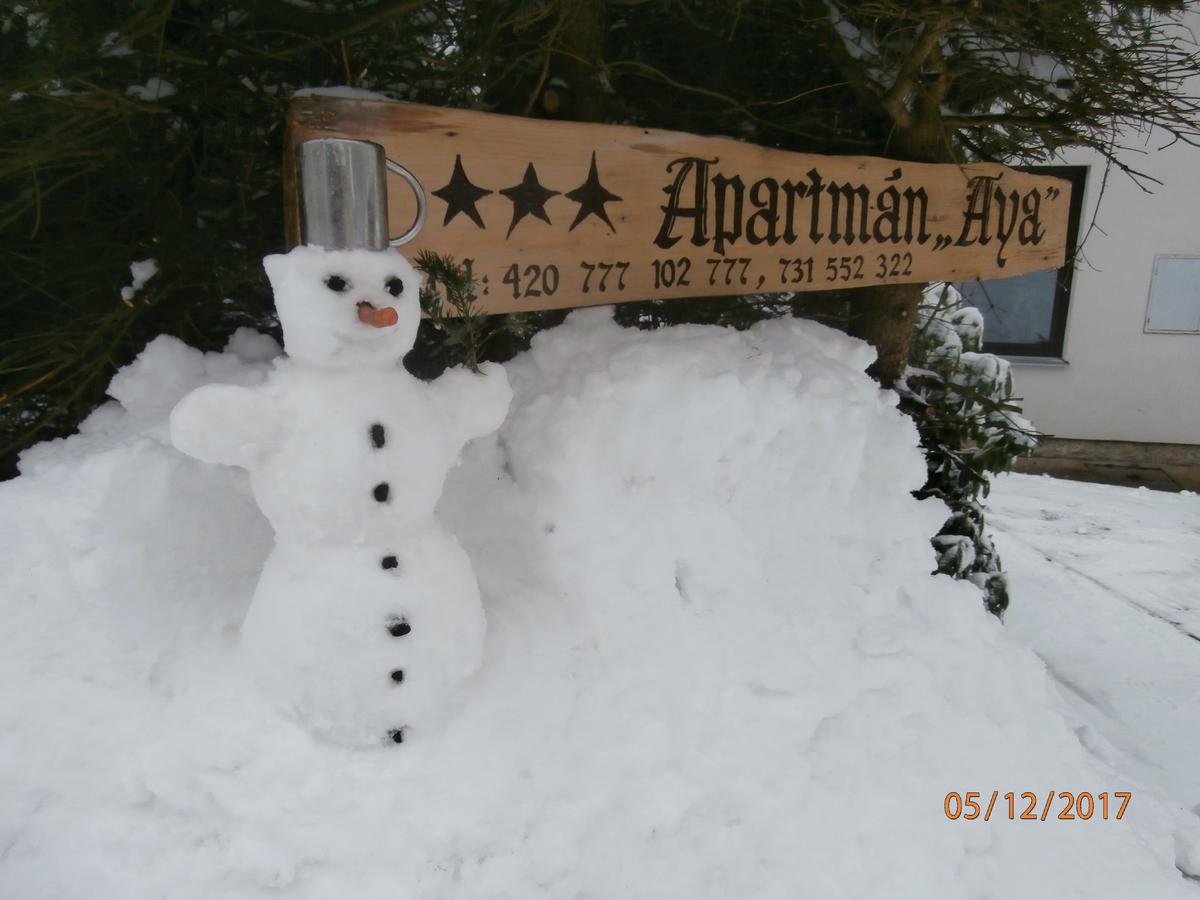 Apartman Aya ยาโนฟ นาด นีโซว์ ภายนอก รูปภาพ